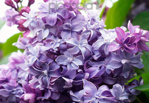 28c480abecf348ed9c55560d27fc9ae3