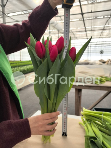 photo_5280591462586325142_y