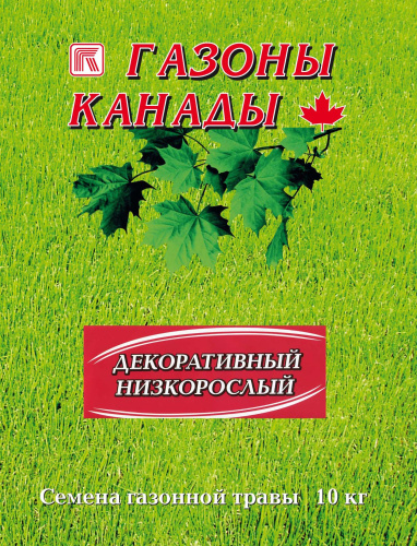 декоративный низкорослый газон