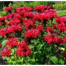 Без названия (2)