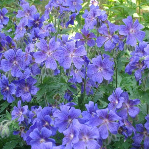 fk38a8wacdwtrjrzkzxy3xvozrk6eso3