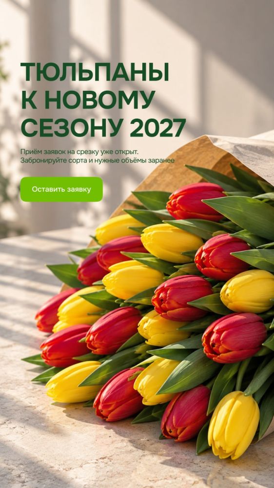 Принимаем заказы на тюльпаны к 8 Марта 2027