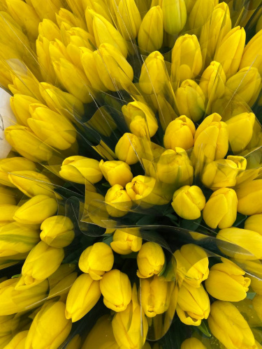 photo_5276368358683121714_y