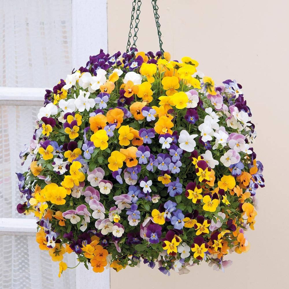 Дарим скидку 20% на предзаказ!