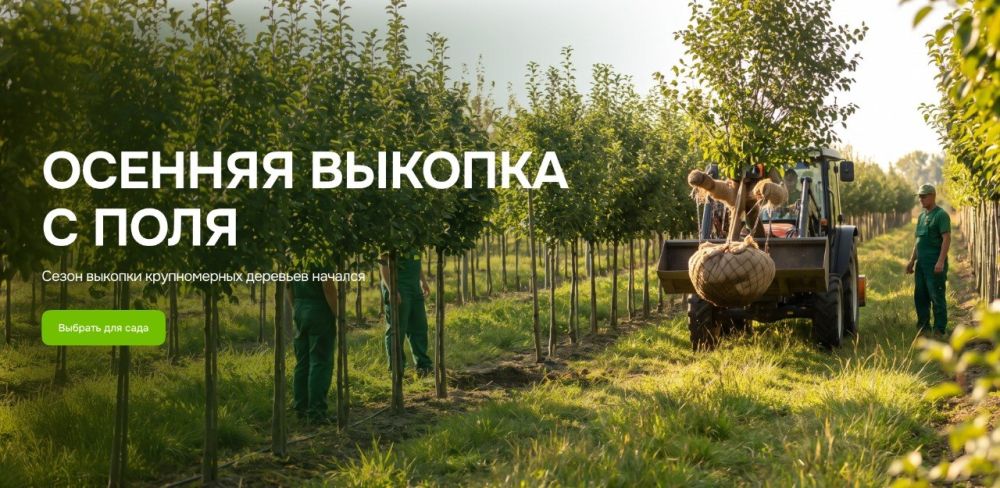 Мы начали копку с полей питомника!