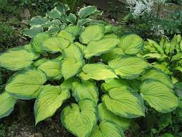 Без названия (2)