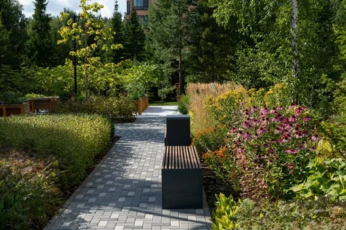 Озеленение жилого комплекса «Кедровый»