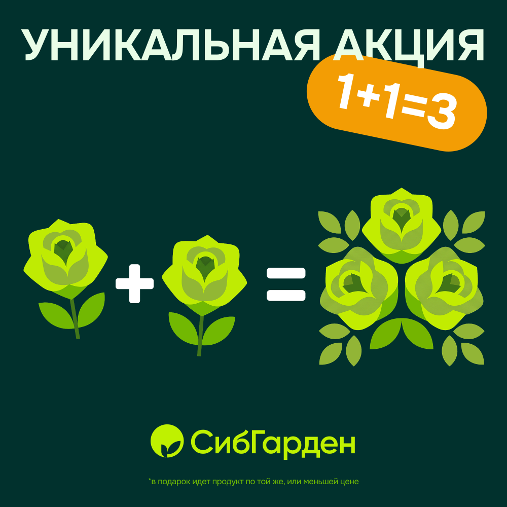При покупке двух роз, третья в подарок!