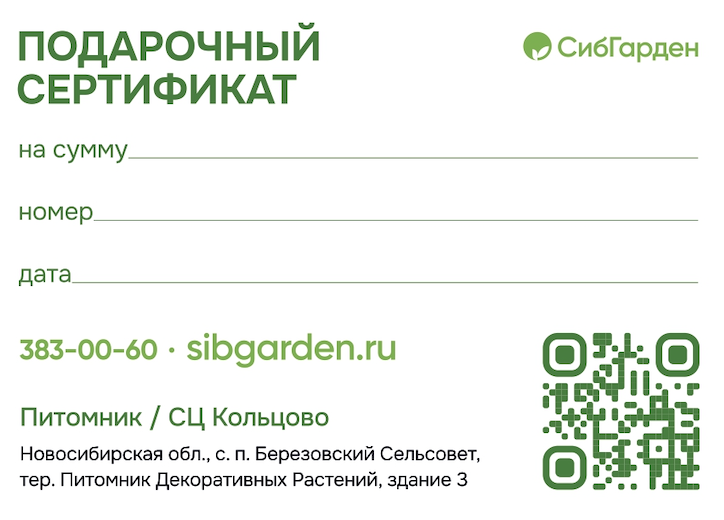 Обратная сторона сертификата - вариант 1